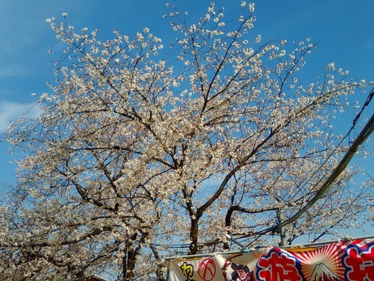 f:id:watto:20190406121137j:plain f:id:watto:20190406121137j:plain