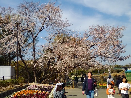 f:id:watto:20190406124700j:plain f:id:watto:20190406124700j:plain