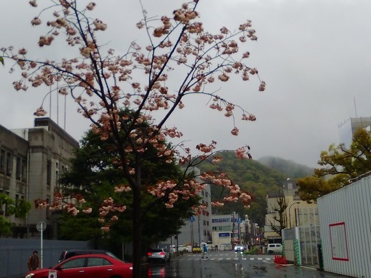 f:id:watto:20190418211314j:plain