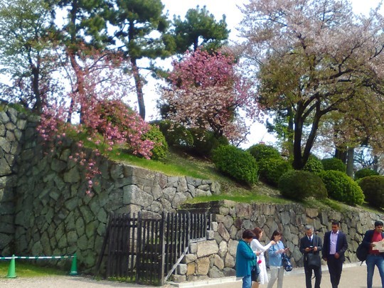 f:id:watto:20190419213136j:plain