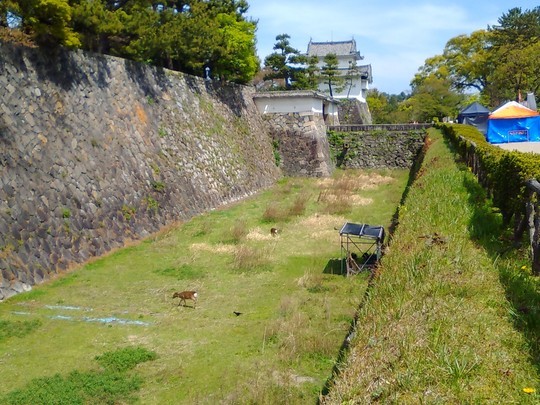 f:id:watto:20190419215327j:plain