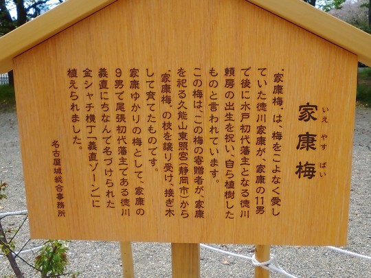 f:id:watto:20190420021636j:plain