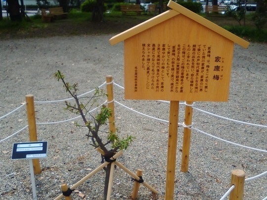 f:id:watto:20190420021641j:plain