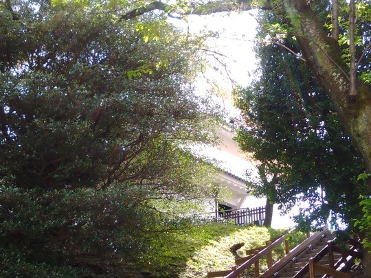 f:id:watto:20190420022724j:plain