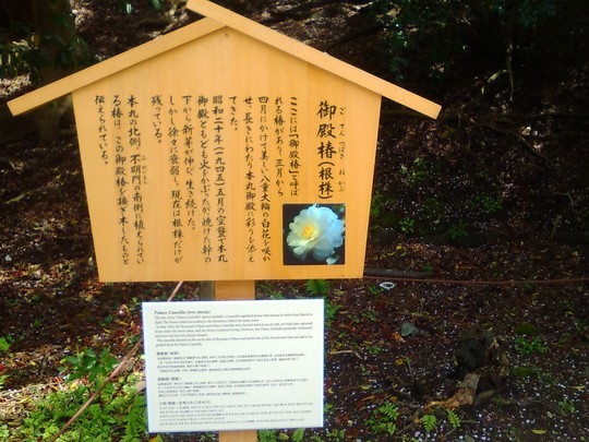 f:id:watto:20190420023034j:plain