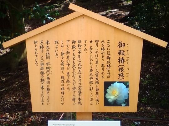 f:id:watto:20190420025703j:plain