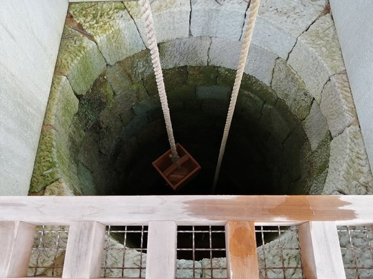 f:id:watto:20190428125645j:plain