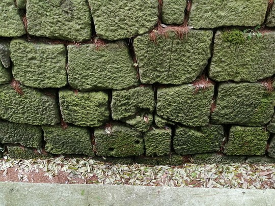 f:id:watto:20190428130314j:plain