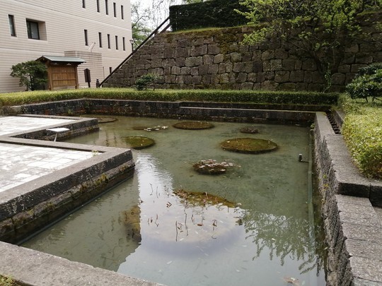 f:id:watto:20190428130416j:plain