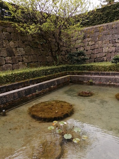 f:id:watto:20190428130452j:plain