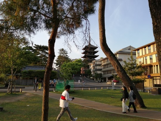 f:id:watto:20190502175730j:plain