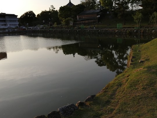 f:id:watto:20190502175813j:plain