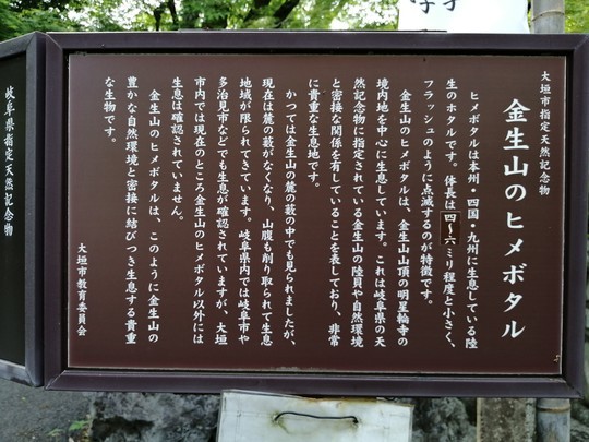 f:id:watto:20190505134601j:plain
