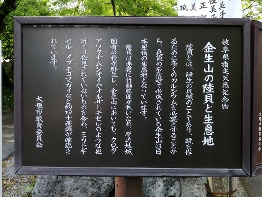 f:id:watto:20190505134607j:plain