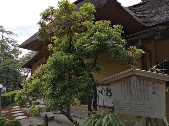 f:id:watto:20190516144619j:plain