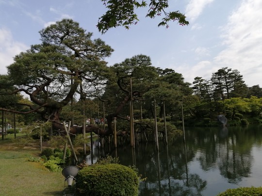 f:id:watto:20190516145434j:plain