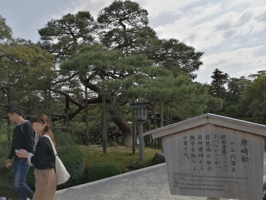 f:id:watto:20190516145703j:plain
