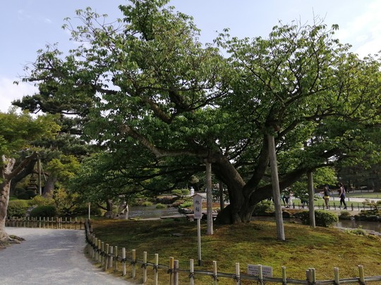 f:id:watto:20190516145850j:plain