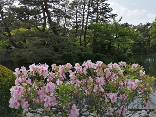 f:id:watto:20190516150056j:plain