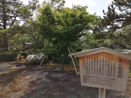 f:id:watto:20190516150553j:plain