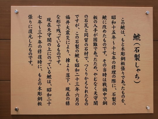 f:id:watto:20190517115644j:plain f:id:watto:20190517115644j:plain