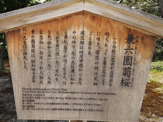 f:id:watto:20190520231757j:plain