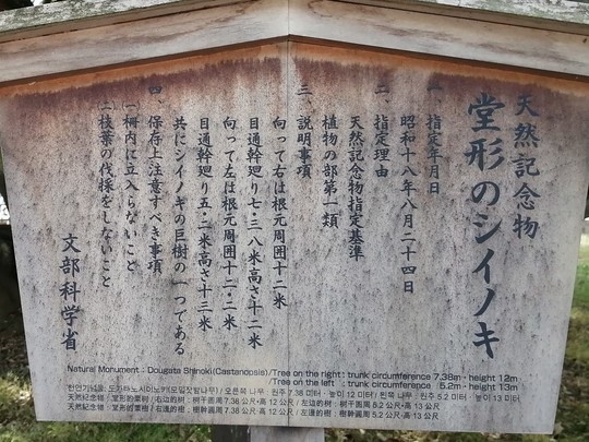 f:id:watto:20190520234252j:plain