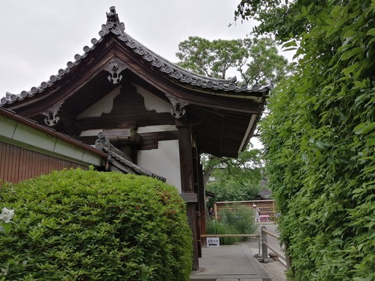 f:id:watto:20190602114032j:plain f:id:watto:20190602114032j:plain