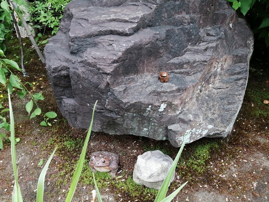 f:id:watto:20190602122544j:plain f:id:watto:20190602122544j:plain