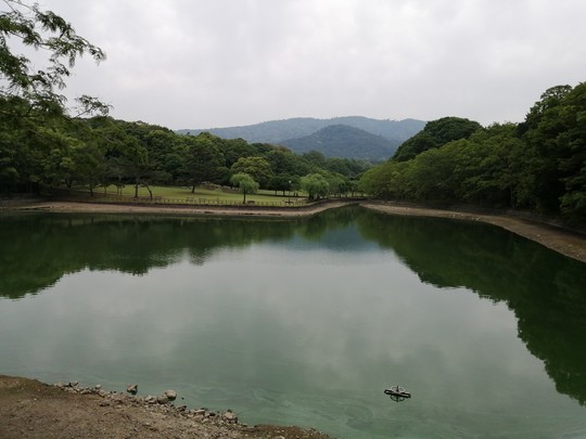 f:id:watto:20190602124929j:plain