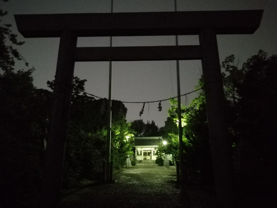 f:id:watto:20190726194206j:plain f:id:watto:20190726194206j:plain