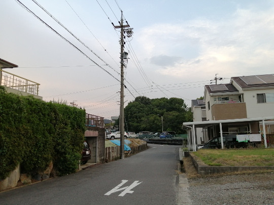 f:id:watto:20190729183949j:plain f:id:watto:20190729183949j:plain