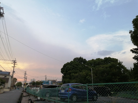 f:id:watto:20190729184036j:plain f:id:watto:20190729184036j:plain