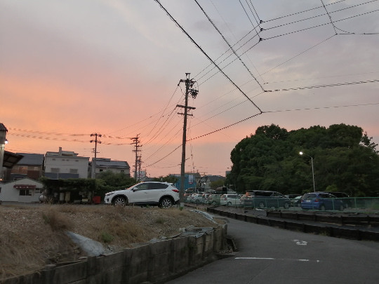 f:id:watto:20190729190012j:plain f:id:watto:20190729190012j:plain