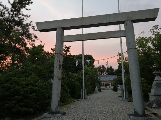 f:id:watto:20190729190106j:plain f:id:watto:20190729190106j:plain