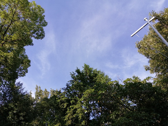 f:id:watto:20190808165408j:plain f:id:watto:20190808165408j:plain