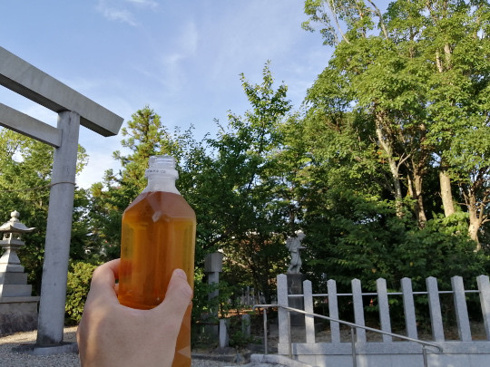 f:id:watto:20190808170402j:plain f:id:watto:20190808170402j:plain
