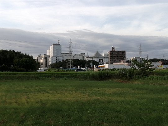 f:id:watto:20190812175129j:plain f:id:watto:20190812175129j:plain