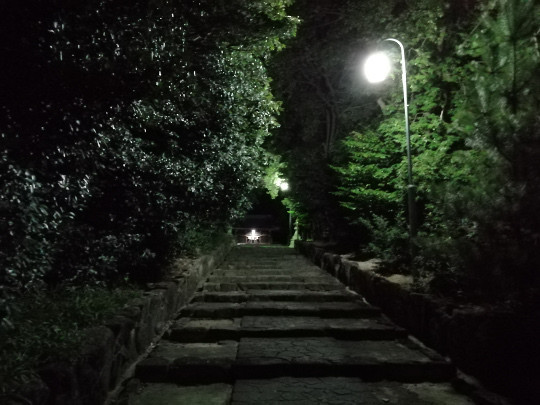 f:id:watto:20190812194232j:plain f:id:watto:20190812194232j:plain