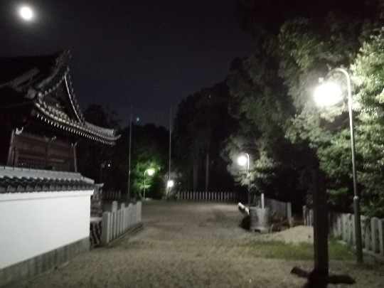 f:id:watto:20190812194856j:plain f:id:watto:20190812194856j:plain
