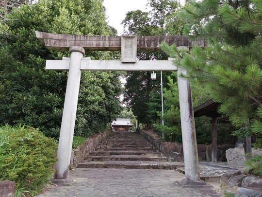 f:id:watto:20190815065339j:plain