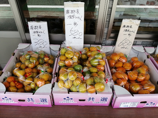 f:id:watto:20190824122758j:plain