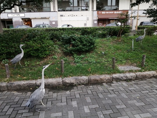 f:id:watto:20191019160119j:plain