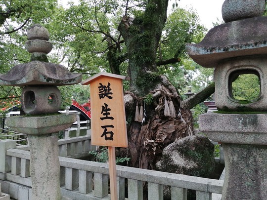 f:id:watto:20191019161614j:plain