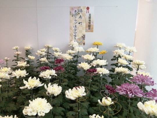 f:id:watto:20191102122433j:plain