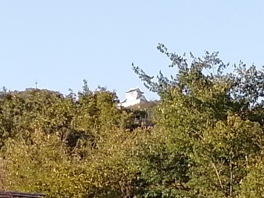 f:id:watto:20191109153316j:plain