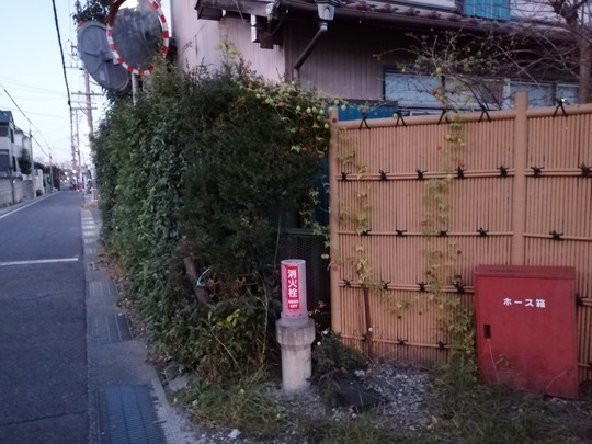 f:id:watto:20191121170300j:plain f:id:watto:20191121170300j:plain