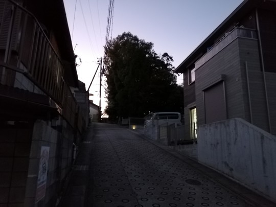 f:id:watto:20191121170458j:plain f:id:watto:20191121170458j:plain
