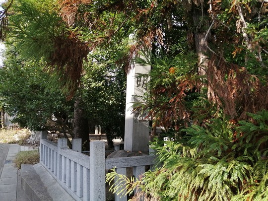 f:id:watto:20191201104603j:plain