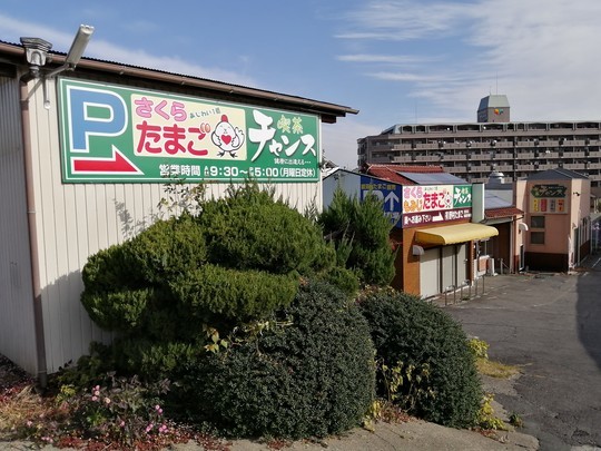 f:id:watto:20191215102048j:plain